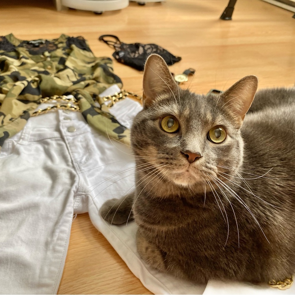 Meet your Posher, Jessica